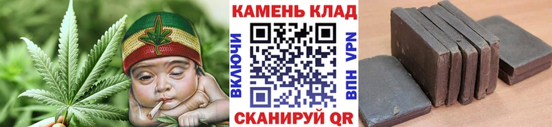 Гашиш Cannabis Славск