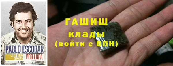хмурый Алексин