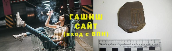 хмурый Алексин