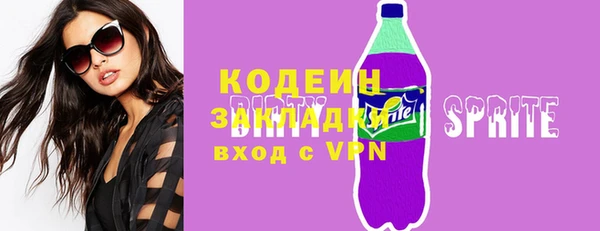 хмурый Алексин