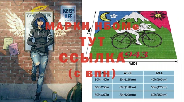 хмурый Алексин