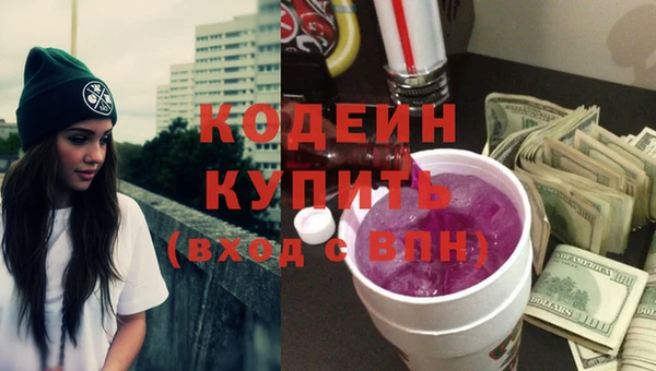 хмурый Алексин