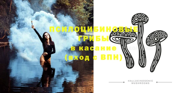ECSTASY Алексеевка