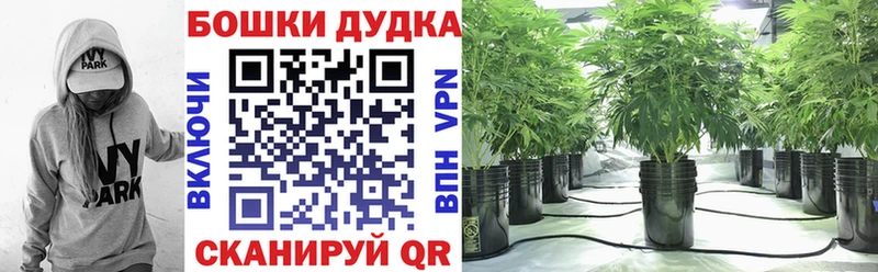Канабис сатива  где купить наркотик  Славск 